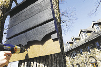 The custom-made houses will serve as a place for bats to roost during the day.  Photo by Chris Taggart
