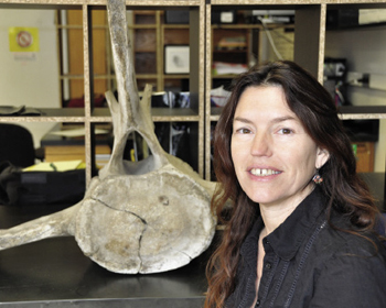 Evon Hekkala, Ph.D., says that DNA from museum specimens can help with future species conservation Photo by Janet Sassi