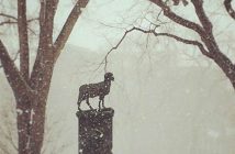 Ram statue in a snowstorm at the Rose Hill campus of Fordham University.