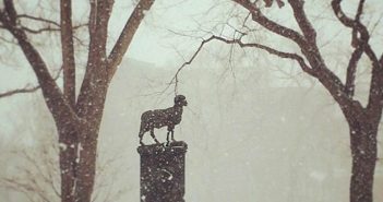 Ram statue in a snowstorm at the Rose Hill campus of Fordham University.