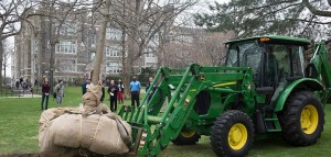 A pin oak is lowered into its new home south of Keating Hall. Photo by Jill Levine