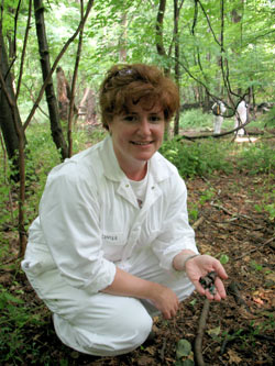 Amy Tuininga, Ph.D., points out Blue Stain fungus growing on bark at the Louis Calder Center Biological Field Station. Photo by Janet Sassi