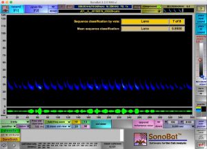 A screenshot from SonoBat. Insectivorous bats have call frequencies that typically range between 20 kHz and 60 kHz which is outside of the frequency of human hearing (20 - 20,000 Hz). To make the calls audible to people they are converted to a lower frequency.