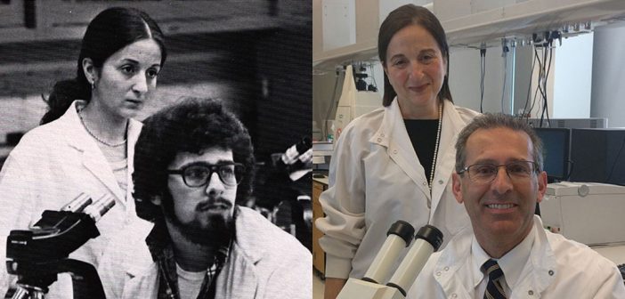 Then and Now (from left): Gloria Coruzzi and Christopher Proto pose for a 1976 yearbook photo in a Fordham lab. Four decades later, they recreated the moment in Coruzzi’s lab at NYU, where Proto teaches part time at the dental school.