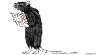 Illustration of a rat reading a New York City subway guide