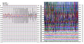 Mexican seismic readings go off he chart.