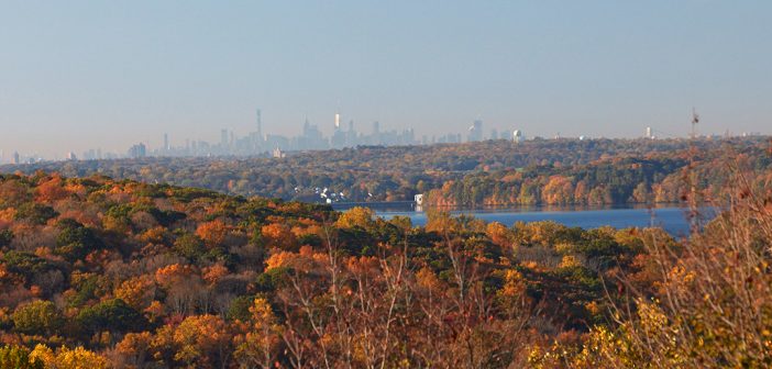 The view of New York City from the Calder Center