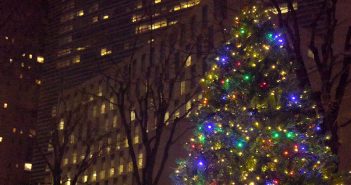 Lincoln Center Christmas Tree