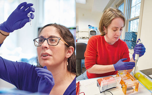 Doctoral students Nicole Fusco (left) and Carol Henger at work in Jason Munshi-South's lab at the Calder Center