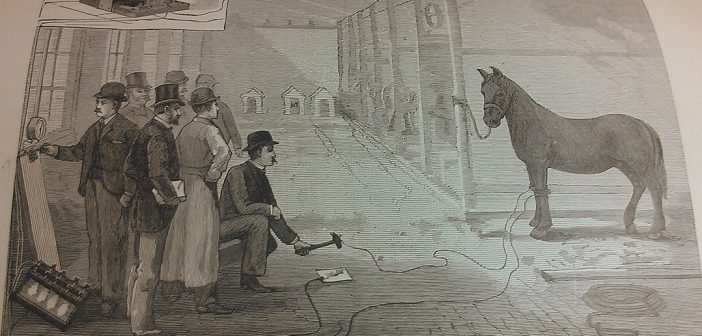 A clipping from the Daily News shows a drawing of Thomas Edison about to electrocute a horse.