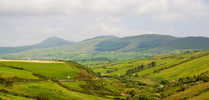 Irish hillside