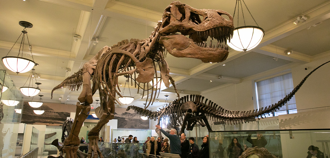 A Trip to the American Museum of Natural History