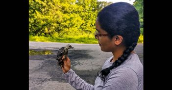 Medha Pandey holds a red-bellied woodpecker