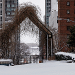 archway with branches in snowy city