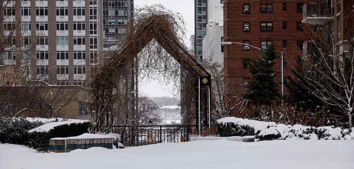 archway with branches in snowy city