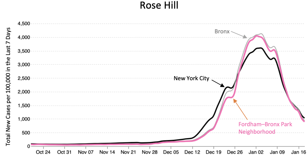 A graph of the declining COVID rates near Rose Hill