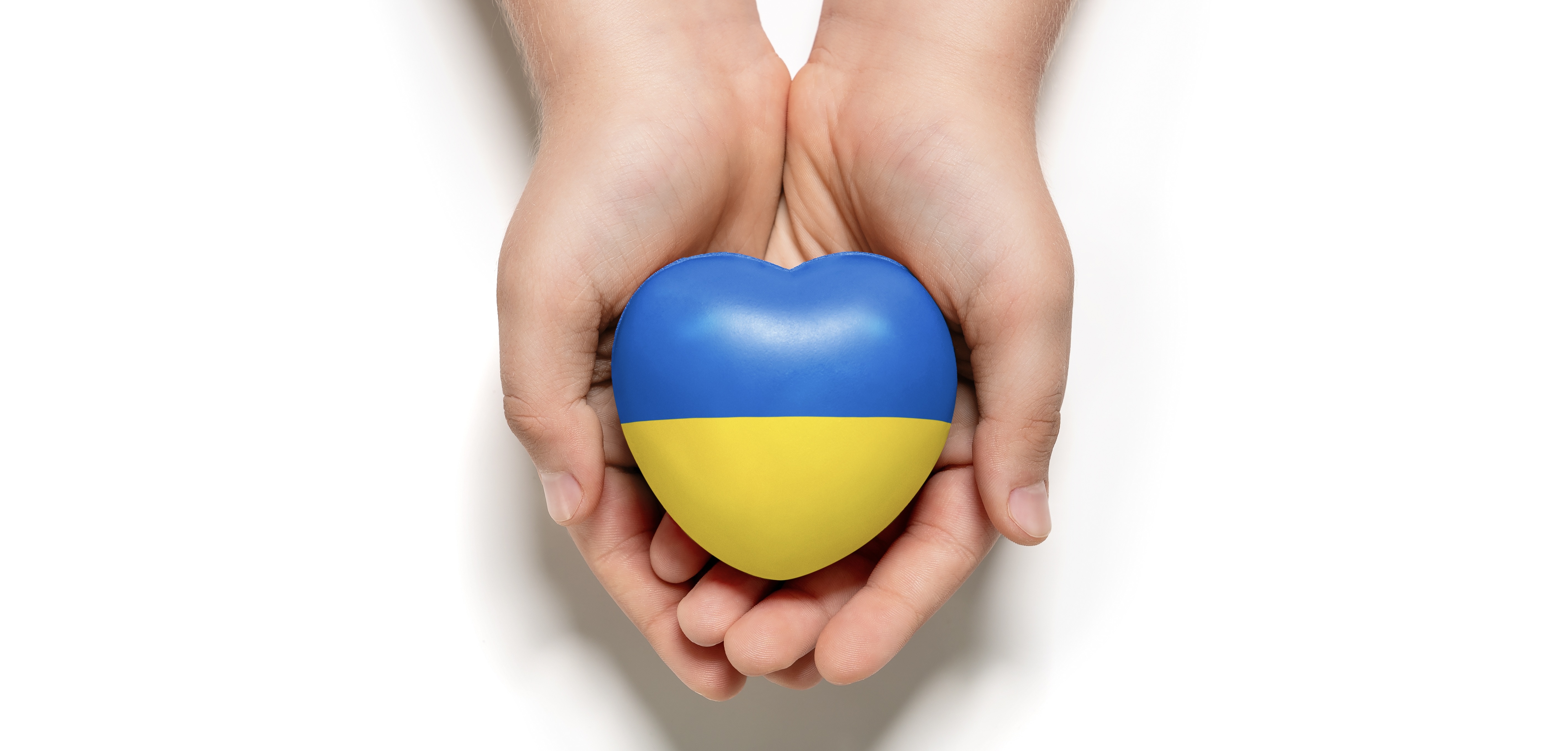 High angle view of child hands holding Ukraine flag painted heart isolated on white background