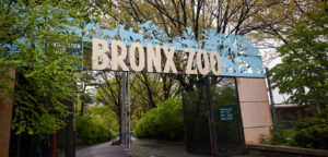 Fordham Launches New Effort to Connect with Bronx Partners