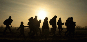 Professors Receive Grant for Project on Migration and Human Dignity