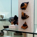 ceramic fragments on display
