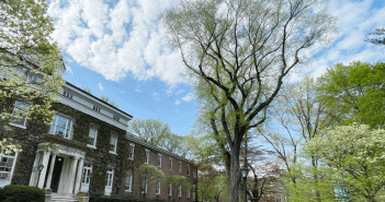 An American Elm tree on the Rose HIll campus
