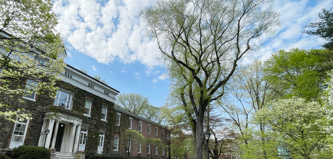 How Do You Save One of NYC’s Oldest Trees?