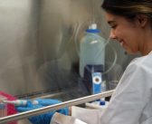 ‘Next-Generation Scientists’: Inside a Fordham Biochemistry Lab