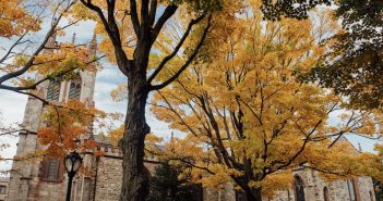 The University Church surrounded by trees with autumn yellow leaves